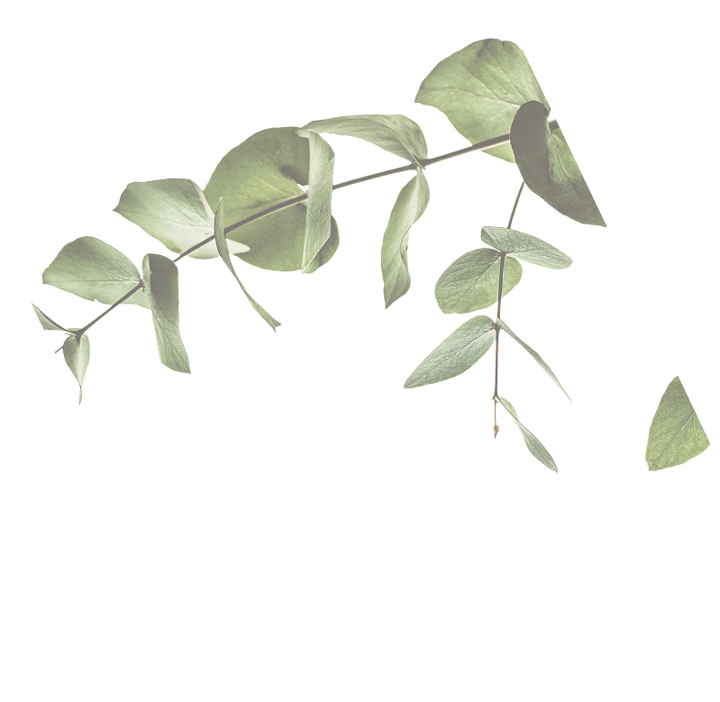 leaf decoration